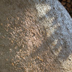 Kigbeare Kiln Project - 